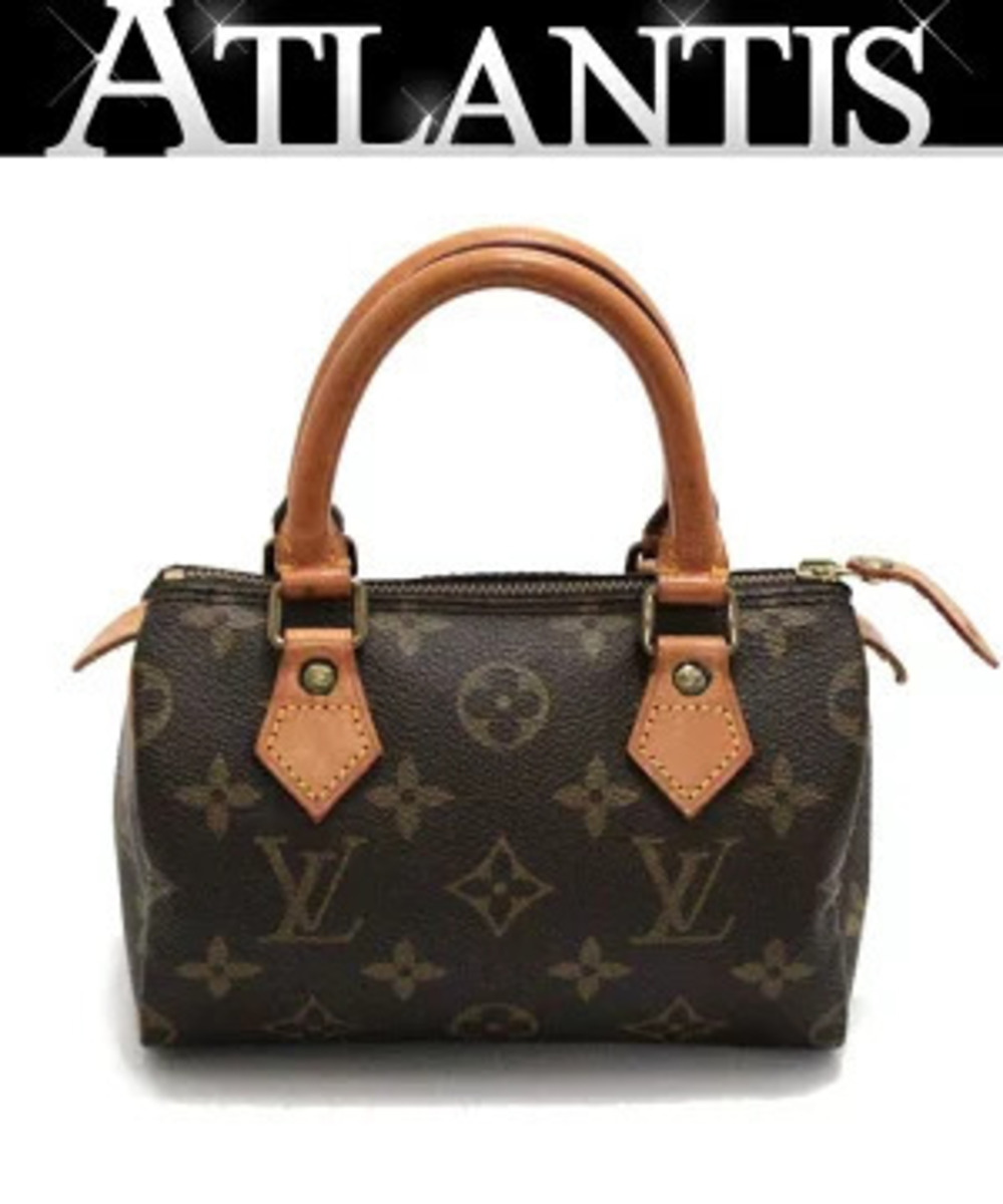 Louis Vuitton Speedy Handbag Monogram